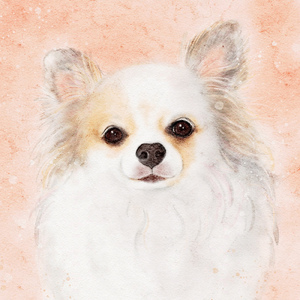 最後だって知っていたら