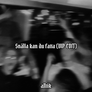 Snälla kan du fatta (VIP Edit)