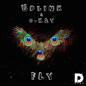 Fly (Extended Mix)
