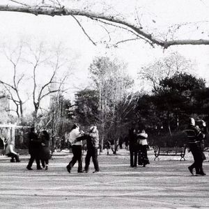 isolated area（植物园）