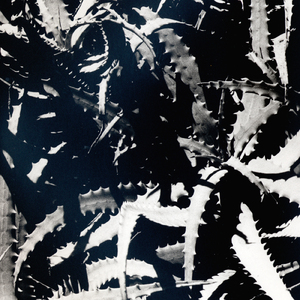 Inside of a hole, you see the light, hope