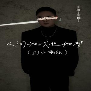 人间如戏也如梦 (DJ小桐版)