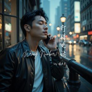打错电话 (Wrong Number)