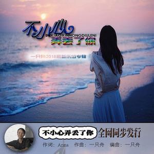 不小心弄丢了你