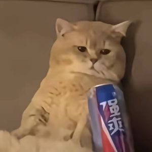 平凡日子的希望