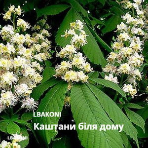 Каштани Біля Дому
