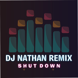 Shut Down (Remix)