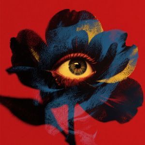 宇宙最后一朵花