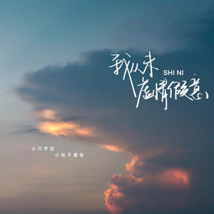 我从未虚情假意