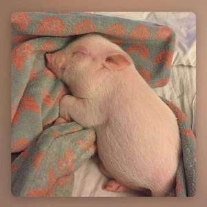 当这一切结束之后我最想要见到你