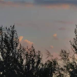 刻在我心底的名字