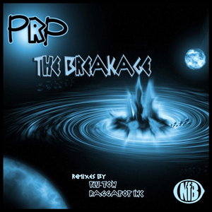 The Breakage (Raggapop Inc Remix)