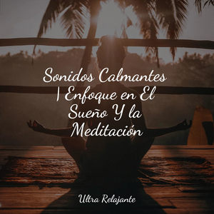Despertar