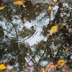 癒やしの環境音 - 雨粒ドロップス (HPL-2)