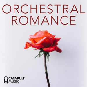 Declarations Of Love