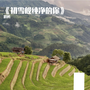 高楼在云端种花园