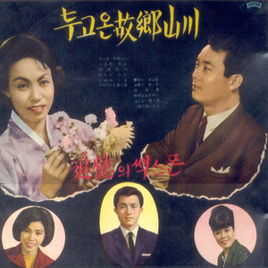 아메리카 신혼여행