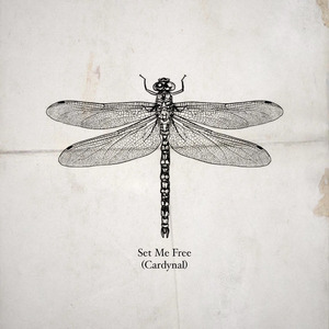 Set Me Free