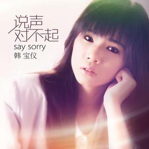 说声对不起 (DJ版)