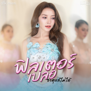 ฟิลเตอร์เบลอธาตุแท้ไม่ได้