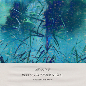 夏夜芦苇