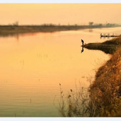 South lake & concerto