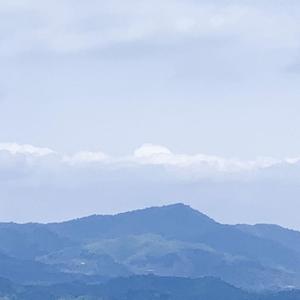 惊蛰(Prod.by Egco)