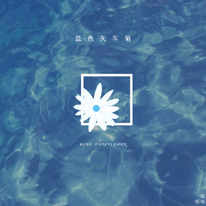 蓝色矢车菊（竖琴独奏V）