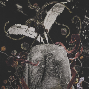 Administration du désastre: Superstitions, souffrances et faune d'Arance