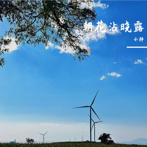 长安花尽欢