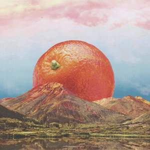 Singe d'une nuit d'été