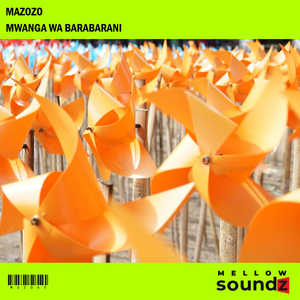 Mwanga Wa Barabarani