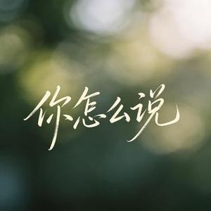 你怎么说 (雷鬼版)