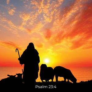 Comfort (Psalm 23:4)