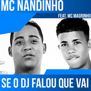 Se o Dj Falou Que Vai