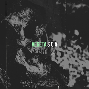 VEGETA