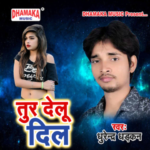 Toor Delu Dil