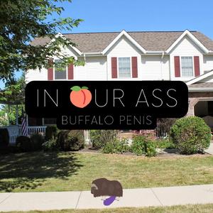 In Our Ass