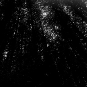 Lost Signal (with European Drought)