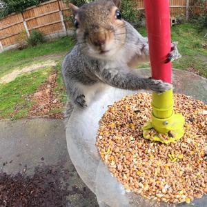 I Made First Move Until You Give In