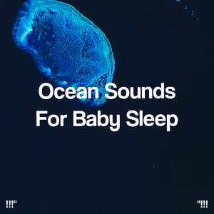 大海之声深睡眠