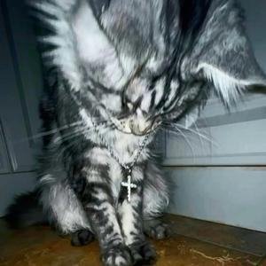 Heavenly (feat. NovaCain)