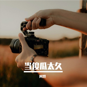 当傻瓜太久