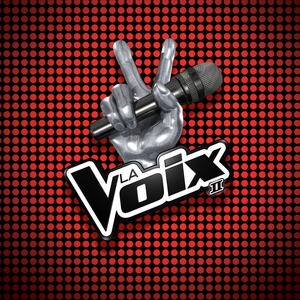 La voix que j'ai (La chanson des coachs de La Voix/Version Studio)