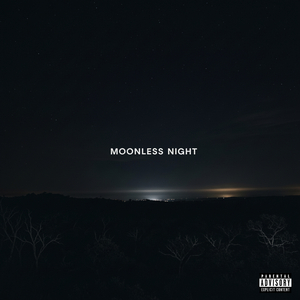 MOONLESS NIGHT