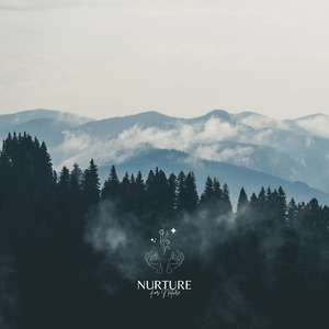 8D Forest Morning Rain