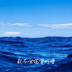 我不会花言巧语 (Cover 这一秒的心动)