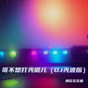 哥不想打光棍儿 (DJ版)