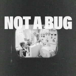 Not A Bug