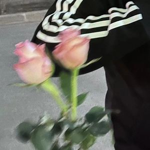 初雪Last snow  pt2